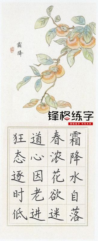 锋格练字作品展示——霜降