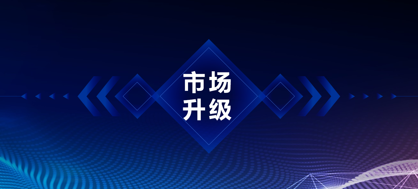 锋格练字市场升级